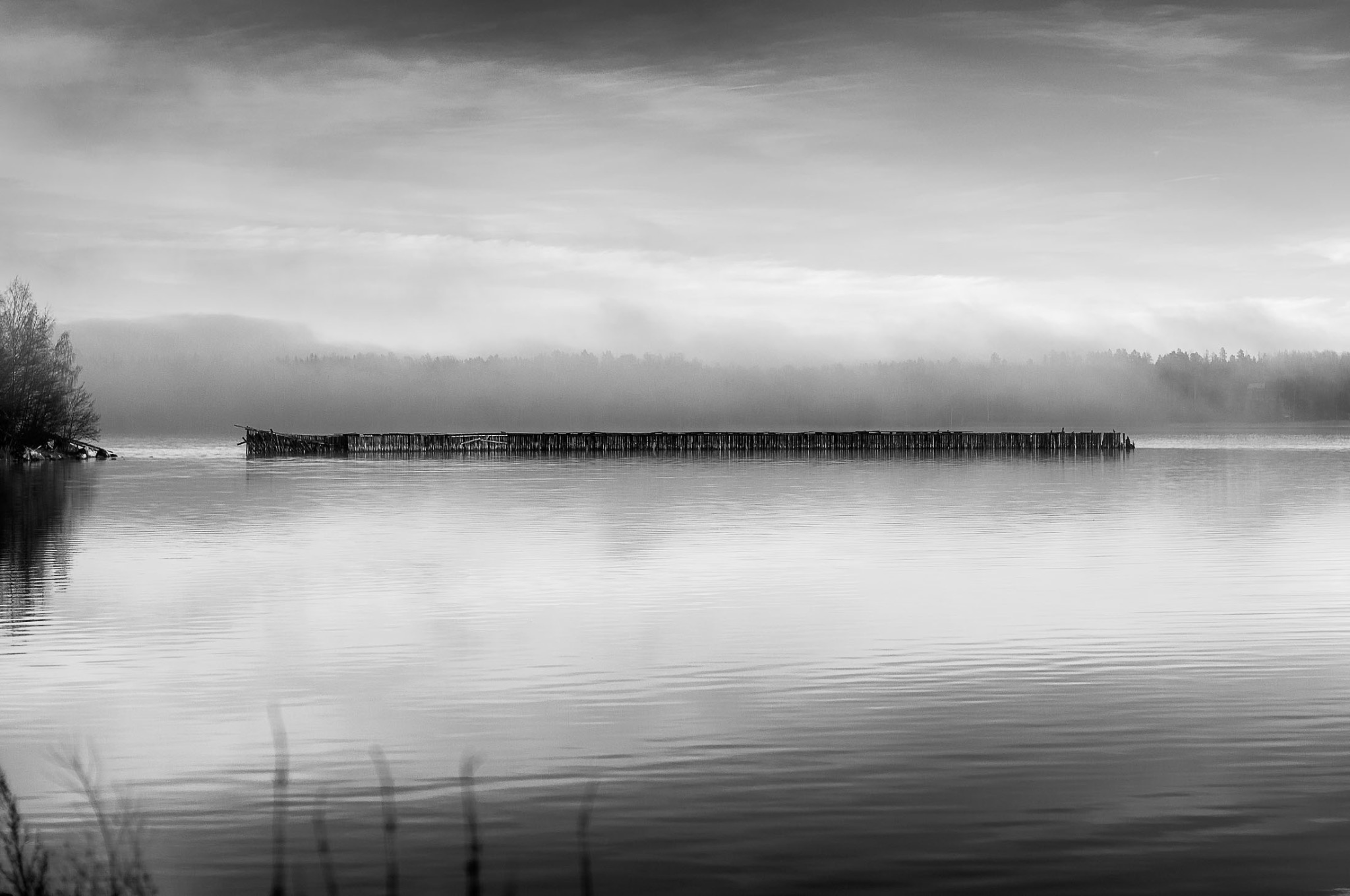 Lugn naturbild i svartvitt